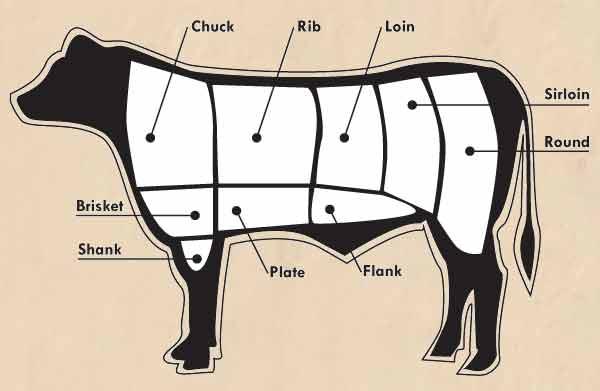 Primal Cuts of Beef Americans eat