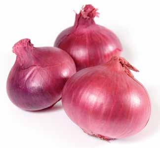 Onions 2 #53423