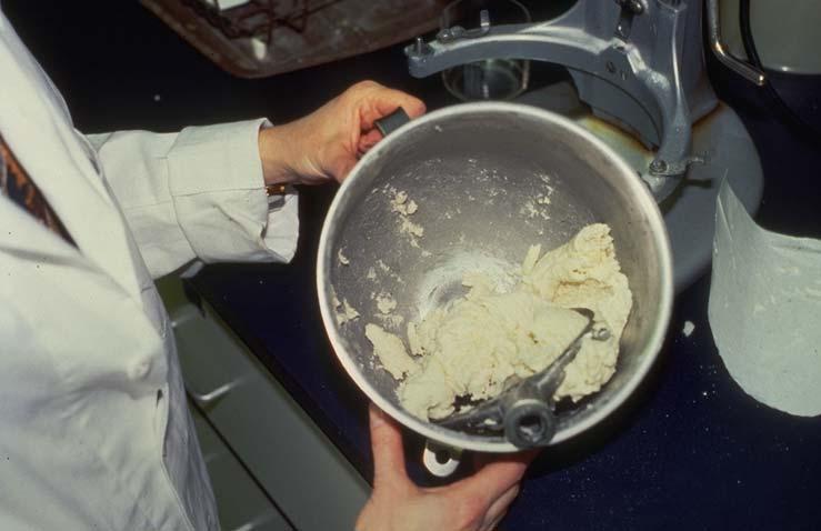 Picture 6: Fat Reduced Cookie Dough