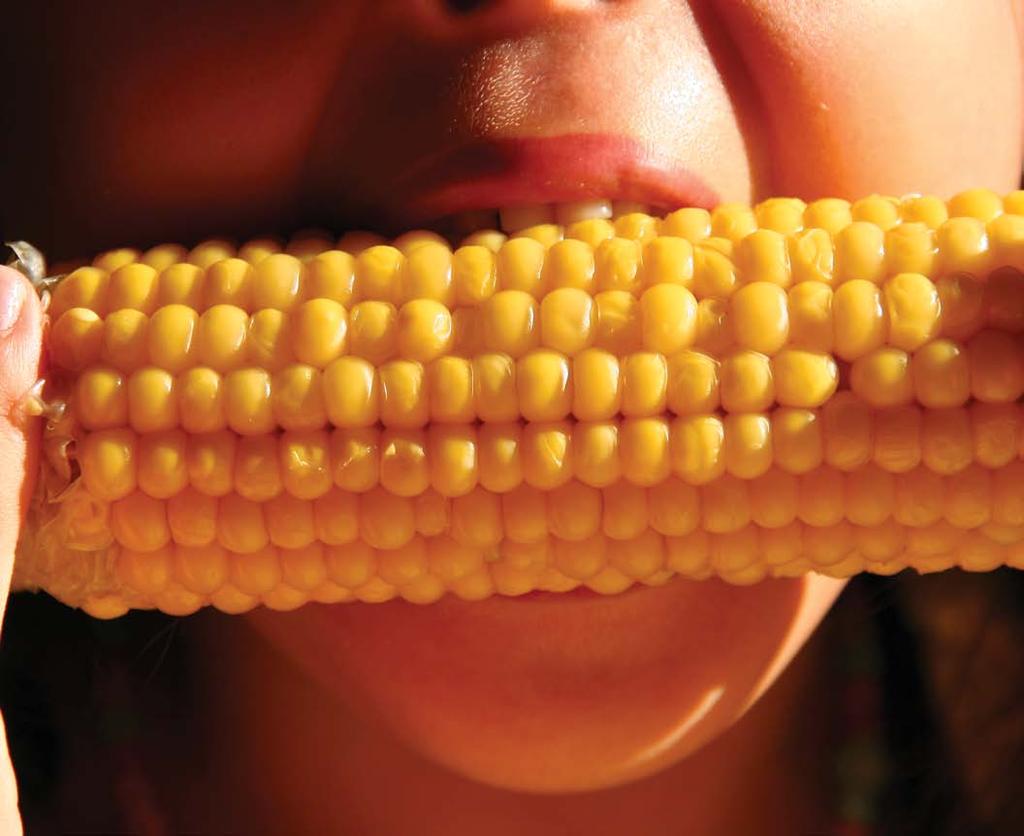 Corn is a grain.