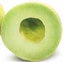 59/kg Honeydew Melons Product