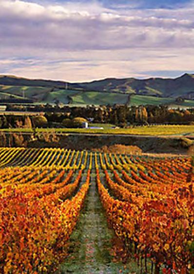 ALAN MCCORKINDALE WAIPARA VALLEY, NZ Alan McCorkindale Wines is a small family business based in the Waipara Valley, Canterbury.