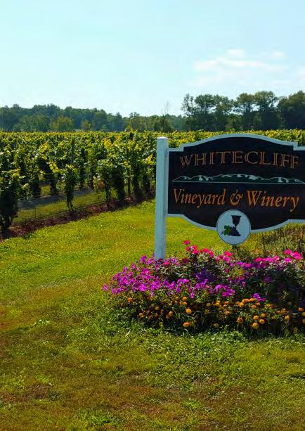 WHITECLIFF Marlborough, New Zealand From vintage to vintage, Whitecliff has always created wines of high quality and consistency and we re passionate about keeping it that way.