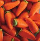 Carrots 260 26052 Carrots 700g