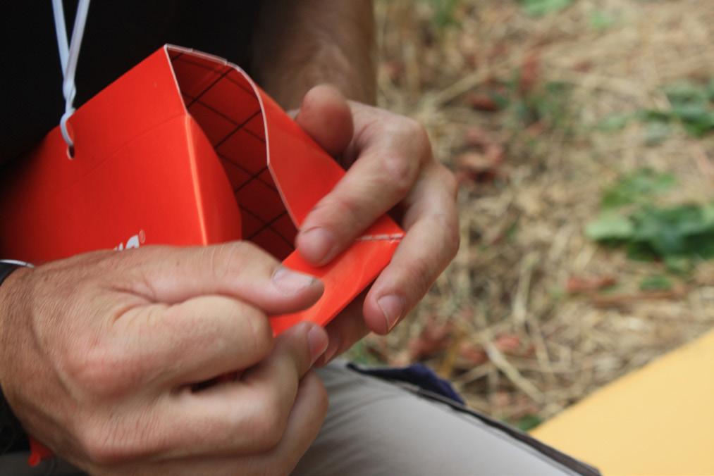 Place the small rubber cap with pheromone (lure) inside the trap on top of the sticky bottom panel (figure 2a).