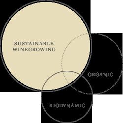 Sustainability in wine