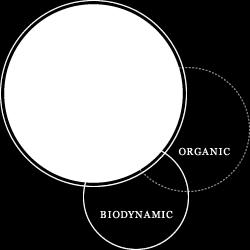 Agriculture Organic