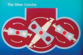 example (Frisse conche)