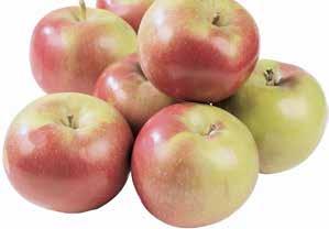 Produce Specials Mcintosh Apples