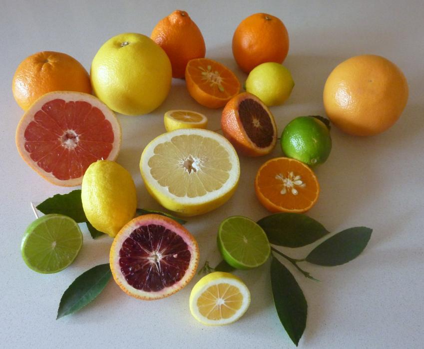 Fermenting dry gives citrus notes