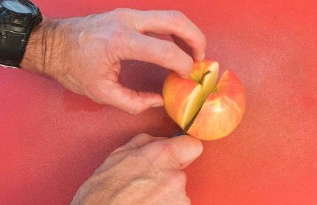 Cut the apple in half lengthwise, and cut