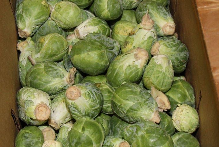 march 31 - april 7, 2017 MARKET NEWS 13 17 FOUR SEASONS PRODUCE OG PINEAPPLES Organic Pineapples are in good supply. Quality has been good and pricing is reasonable. OG BRUSSELS SPROUTS ALERT!