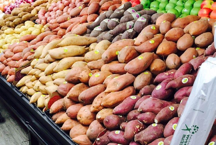 Organic Yellow Potatoes out of Manitoba, Canada will increase in price this week, and storage costs have caused the price to increase.