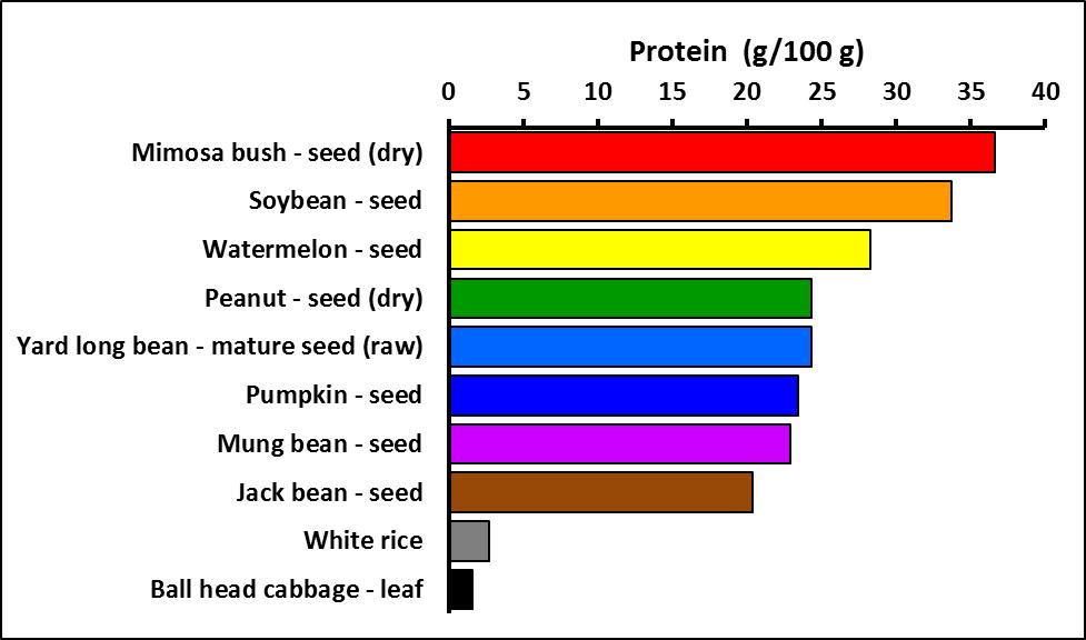 protein or growth food into our diets.
