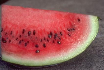 Zinc for growing bodies Watermelon