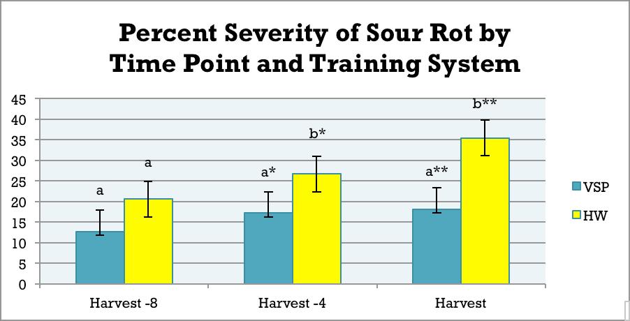 Figure 8. Effect of training system (VSP and Top Wire [HW]) on the development of sour rot in a commercial vineyard of cv. Vignoles, Finger Lakes NY, 2014.