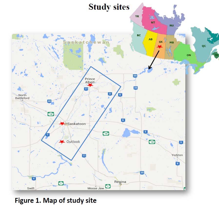 Figure 1. Map of study sites Results and Discussion In all sites, soil NO 3 -N was greater in caragana shelterbelts (0.52 to 1.69 mg L -1 ) than in their non N-fixing shelterbelt counterparts (0.