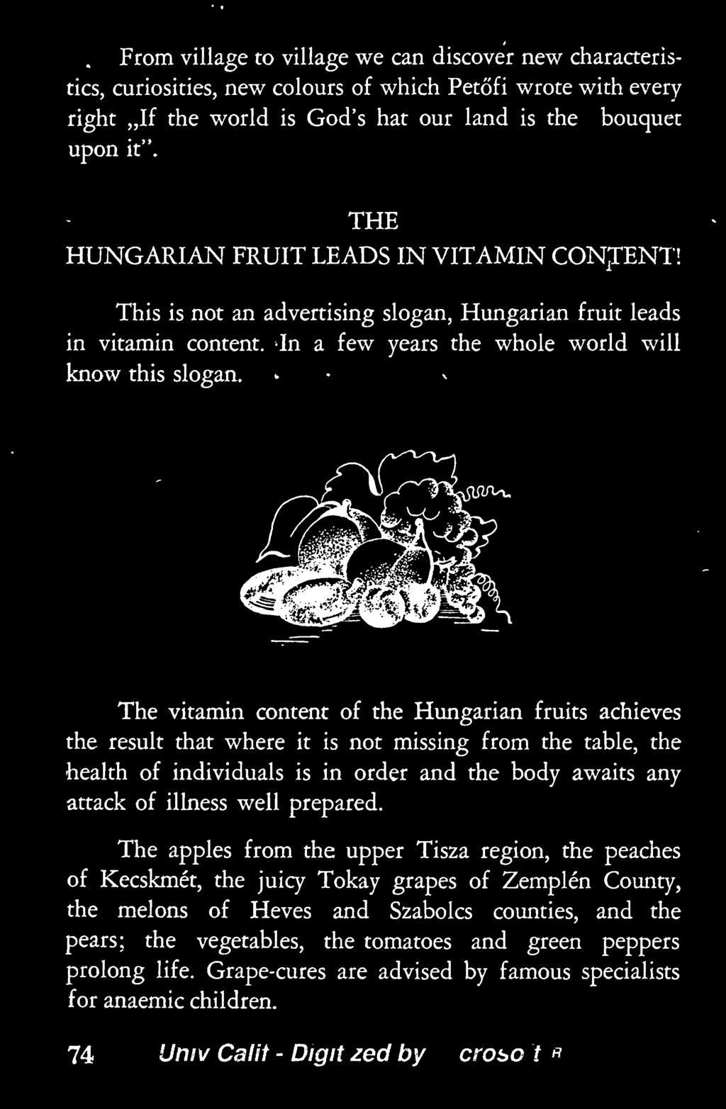 The vitamin content of the Hungarian fruits achieves the result that where it is not missing from the table, the health of individuals is in order and the body awaits any attack of illness well