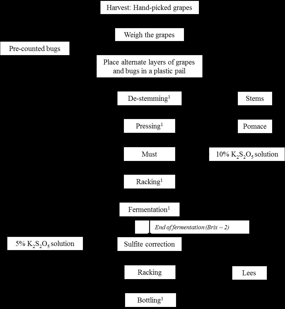 128 Figure 4.1. Flowchart of white wine (Pinot gris) processing 1 Wine/must