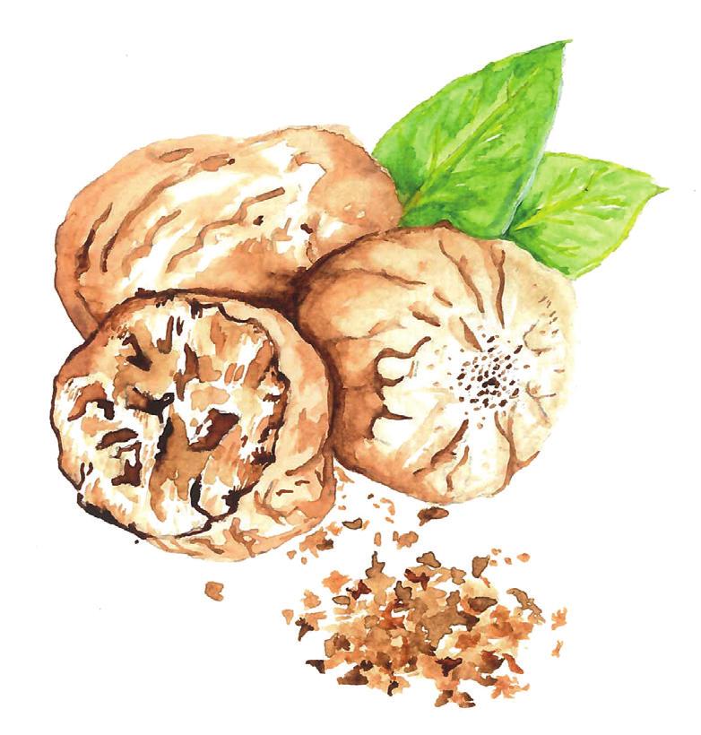Nutmeg Crodino In Italy Crodino is the non-alcoholic aperitif by definition, the most consumed and the most famous.