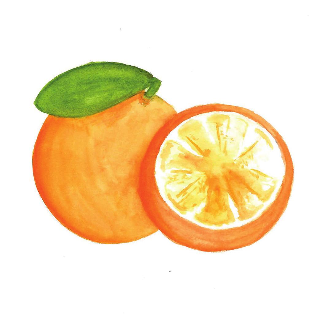 Oranges Campari Campari is a contemporary and charismatic classic.