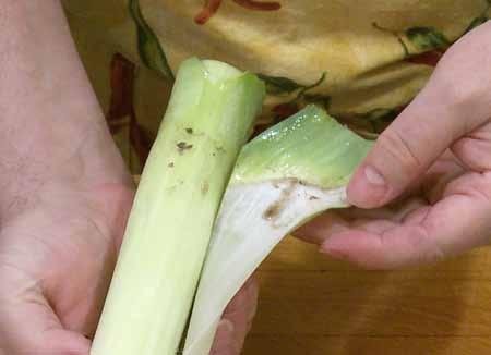 7 5 Leeks are notorious for harboring mud inside.