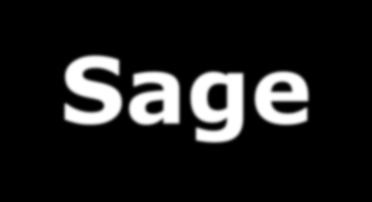 Sage Salvia