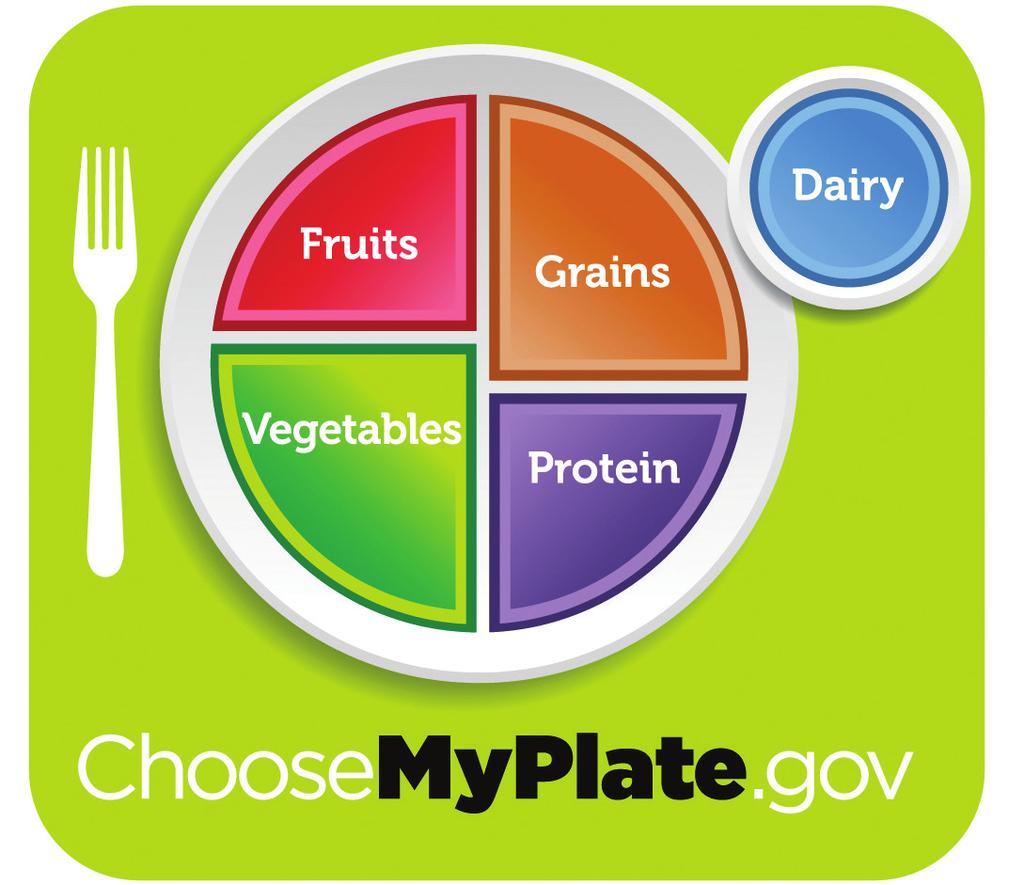 MyPlate, My Grains Your child learned about MyPlate today. To remind us of how to eat healthfully, the United States Department of Agriculture created MyPlate.