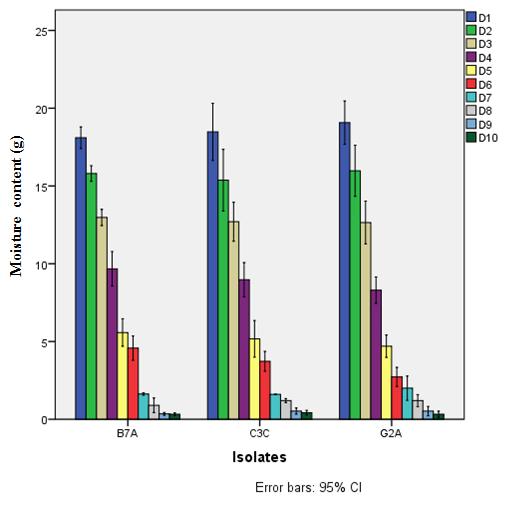 Figure 4: Loss of moisture content during air drying of Beauveria bassiana B7A, C3C and G2A cultured on sorghum.