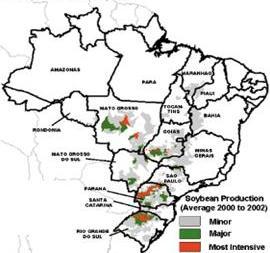 The major producing centres are concentrated in the southern coastal regions of Brazil, which are nearer to the ports.
