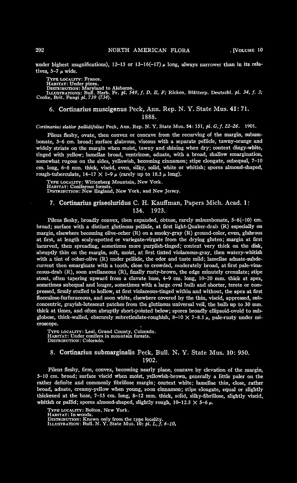 Rep. N. Y. State Mus. 41: 71. 1888. Cortinarius elatior pallidifolius Peck, Ann. Rep. N. Y. State Mus. 54: 151, pi. G,f. 22-26. 1901.
