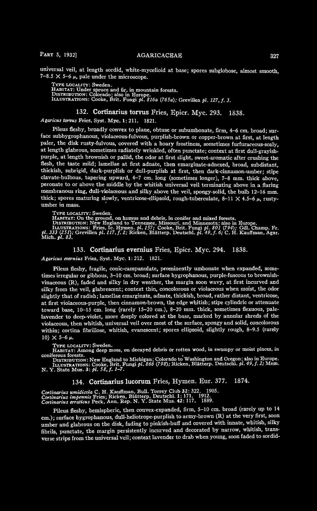 Cortinarius torvus Fries, Epicr. Myc. 293. 1838. Agaricus torvus Fries, Syst. Myc. 1: 211. 1821. Pileus fleshy, broadly convex to plane, obtuse or subumbonate, firm, 4-6 cm.
