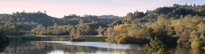 RED LAKE VINEYARD ESTATE MEMORANDUM 4 - GENERAL AREA DESCRIPTION - NAPA VALLEY The Napa Valley is America s first agricultural preserve and is a region of incomparable natural beauty.