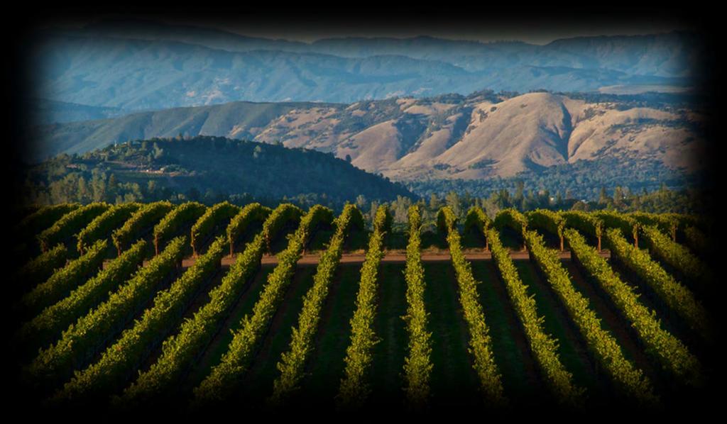 Lake County Wine Region Approximately 200 growers with