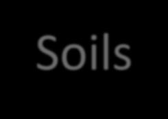 Capacity Soil
