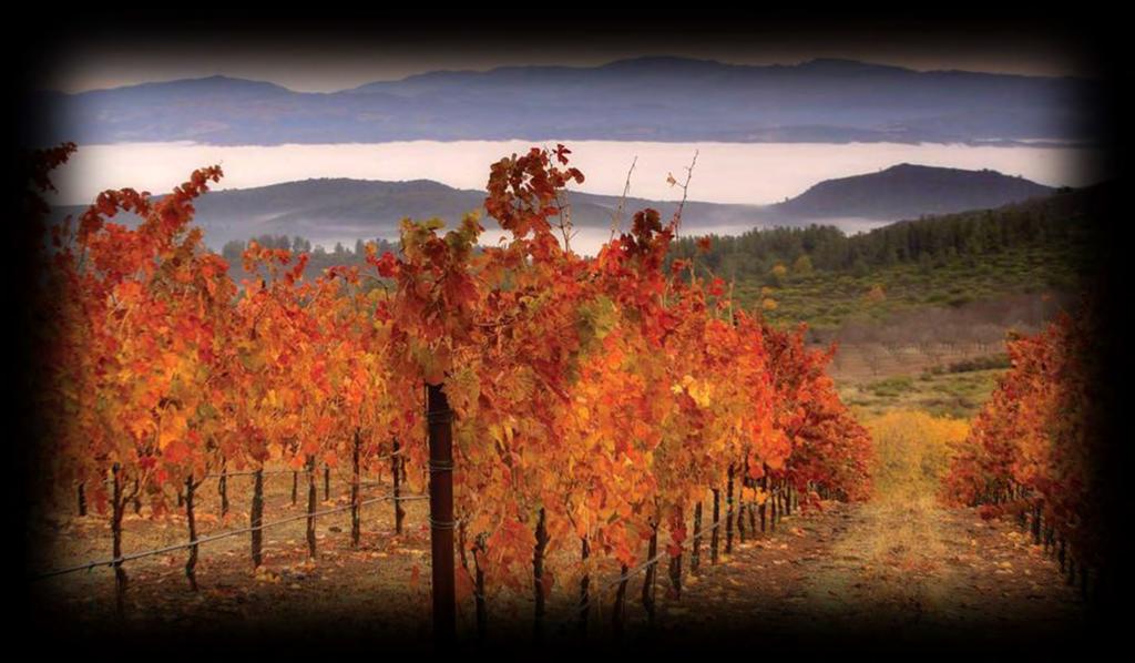 Lake County Wine Region Mountain