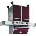 Gas Grills Genesis EP310-Adding a splash of luxury to any outdoor space, this grill offers 3 Stainless steel burners, PREMIUM 7mm stainless steel rod cooking grates and flavorizer bars.