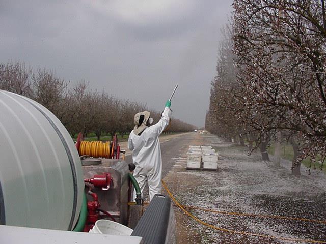Fungicides are usually applied during bloom to protect blossoms from becoming infected.