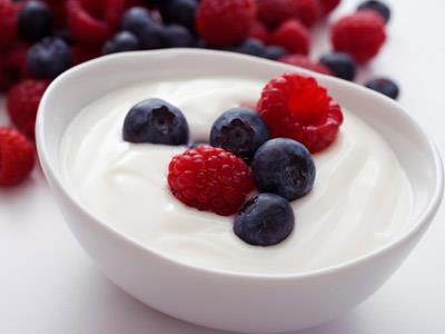 high quality product every time. Yogurt is a controlled fermentation.