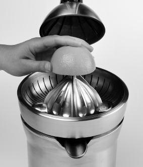 Clean and replace Stainless Steel Filter and Juicing Cone before continuing to juice.