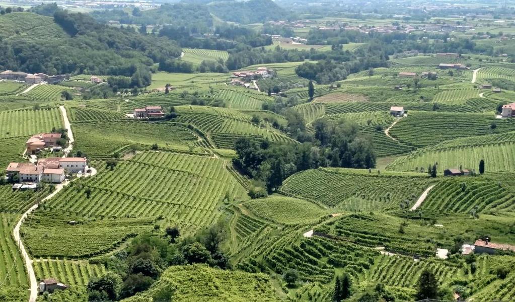 Bacio Della Luna winery specializes in only sparkling wines, located in the heart of the DOCG