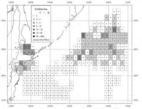 Common minke whale (Balaenoptera acutorostrata) Density Index (whales/100n.