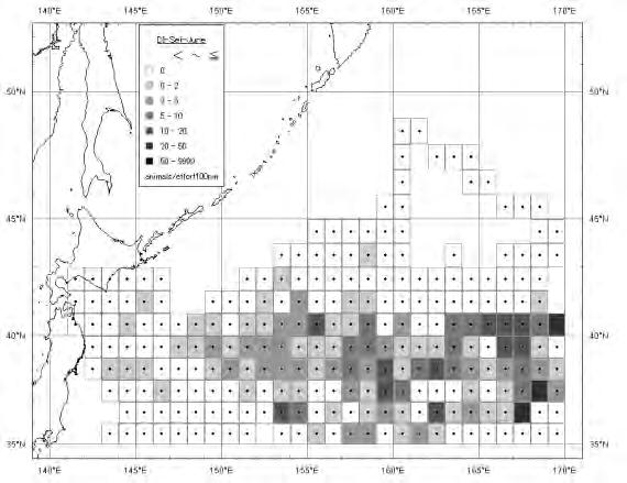 Sei whale (Balaenoptera borealis) Density Index (whales/100n.