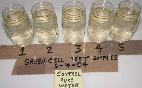 Figure 4. Uncontaminated Control-Water Samples Taken from Discharge Port 4.