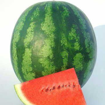 Watermelon Triple