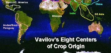edu Origin, Evolution Nikolai Ivanovich Vavilov Most of the varietal wealth in our crop plants was concentrated in