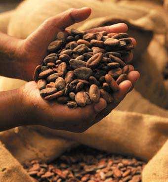 5 strategic reasons for acquiring the cocoa business from Petra