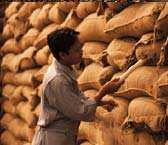 integrated cocoa sourcing and processing activities Strengthening