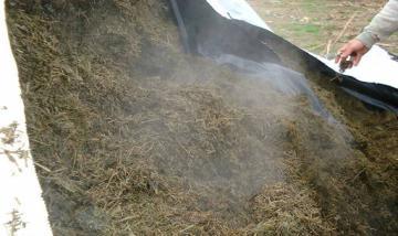 Aerobically Spoiled Silage Stored for Months Feeding Spoiled Silages