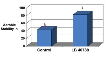 buchneri 788 From Dairy Farms in the US Corn silage samples Collected from dairy farms 15 farms using no inoculant 16 farms using an inoculant containing either L. buchneri (LB) 788 alone or LB and P.